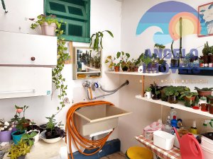 Casa — foto 16